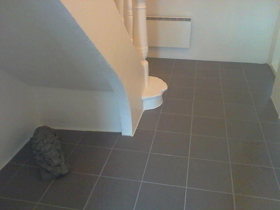 Kosy Vik Apartment Екстериор снимка
